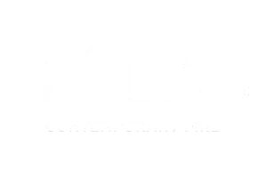 Solas contemporary fire